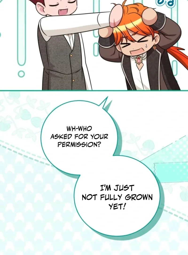 Baby Pharmacist Princess Chapter 112 page 67