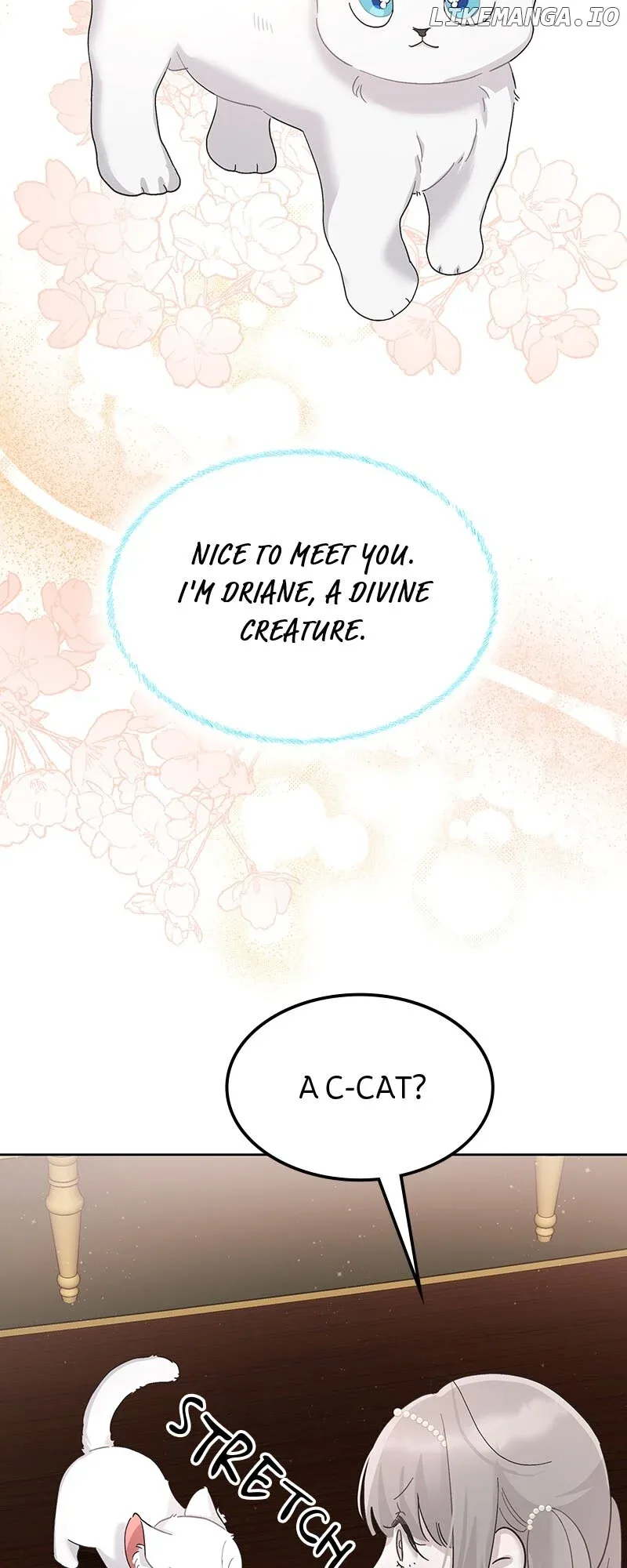 Baby Princess’ Survival Diary Chapter 6 page 51