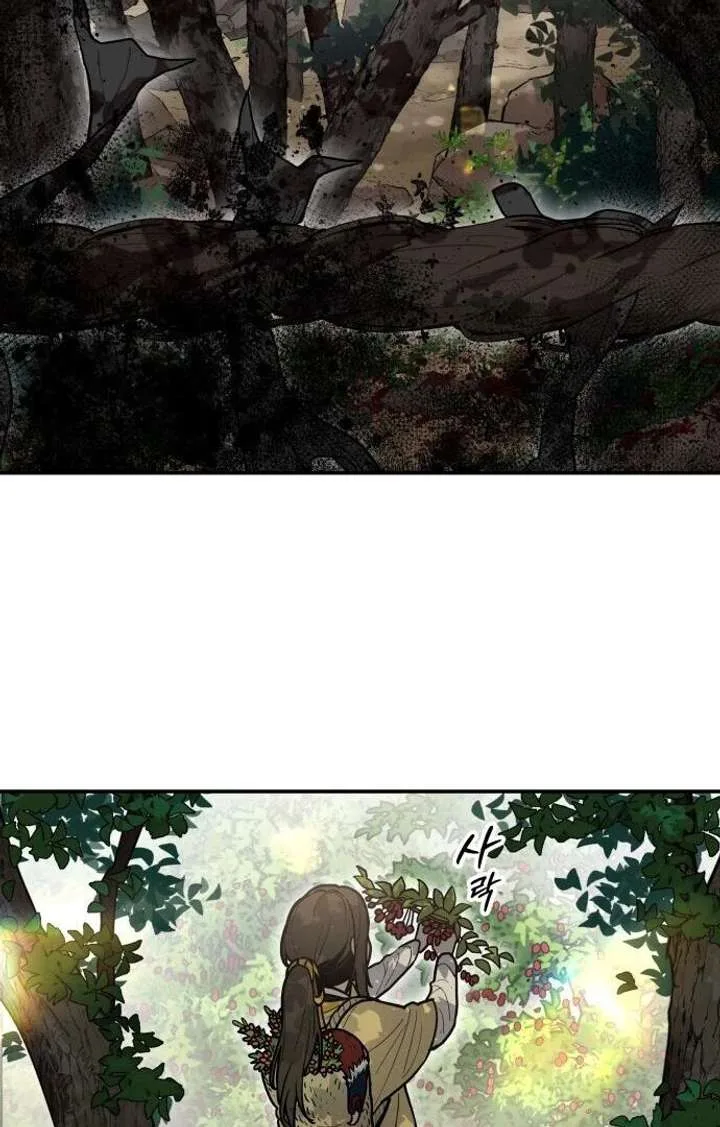 Bari, The Thunder That Awakens the Stars Chapter 1 page 41