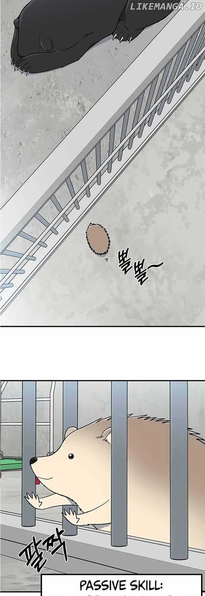 Bear Care Chapter 2 page 65