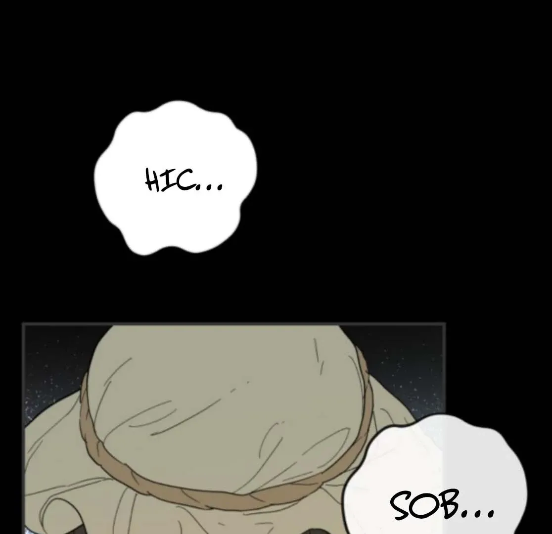 Bari, The Thunder That Awakens the Stars Chapter 5 page 16