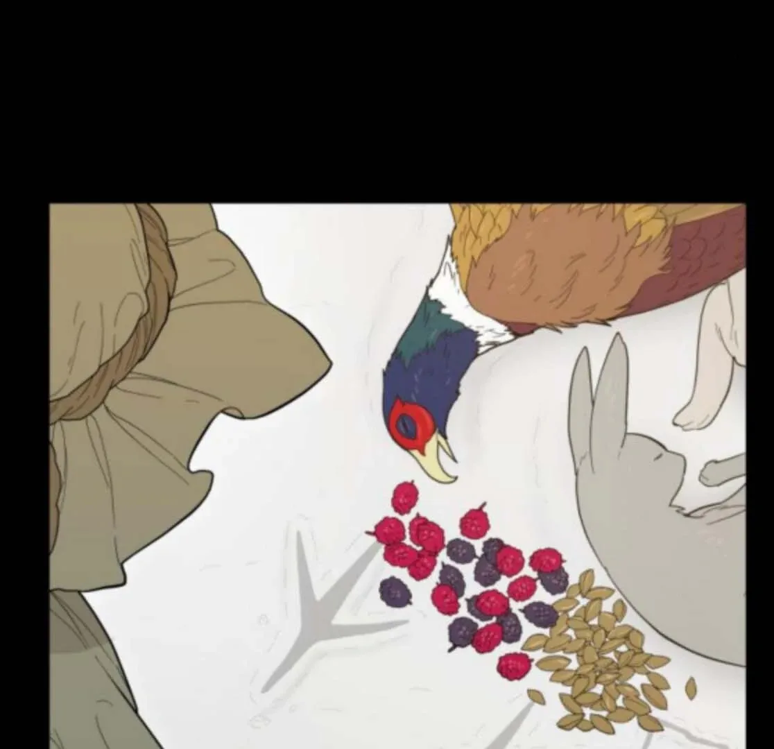 Bari, The Thunder That Awakens the Stars Chapter 5 page 45