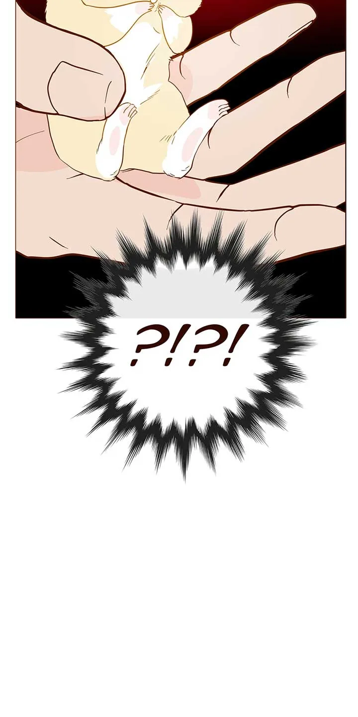 Bear with Me Chapter 38 page 5