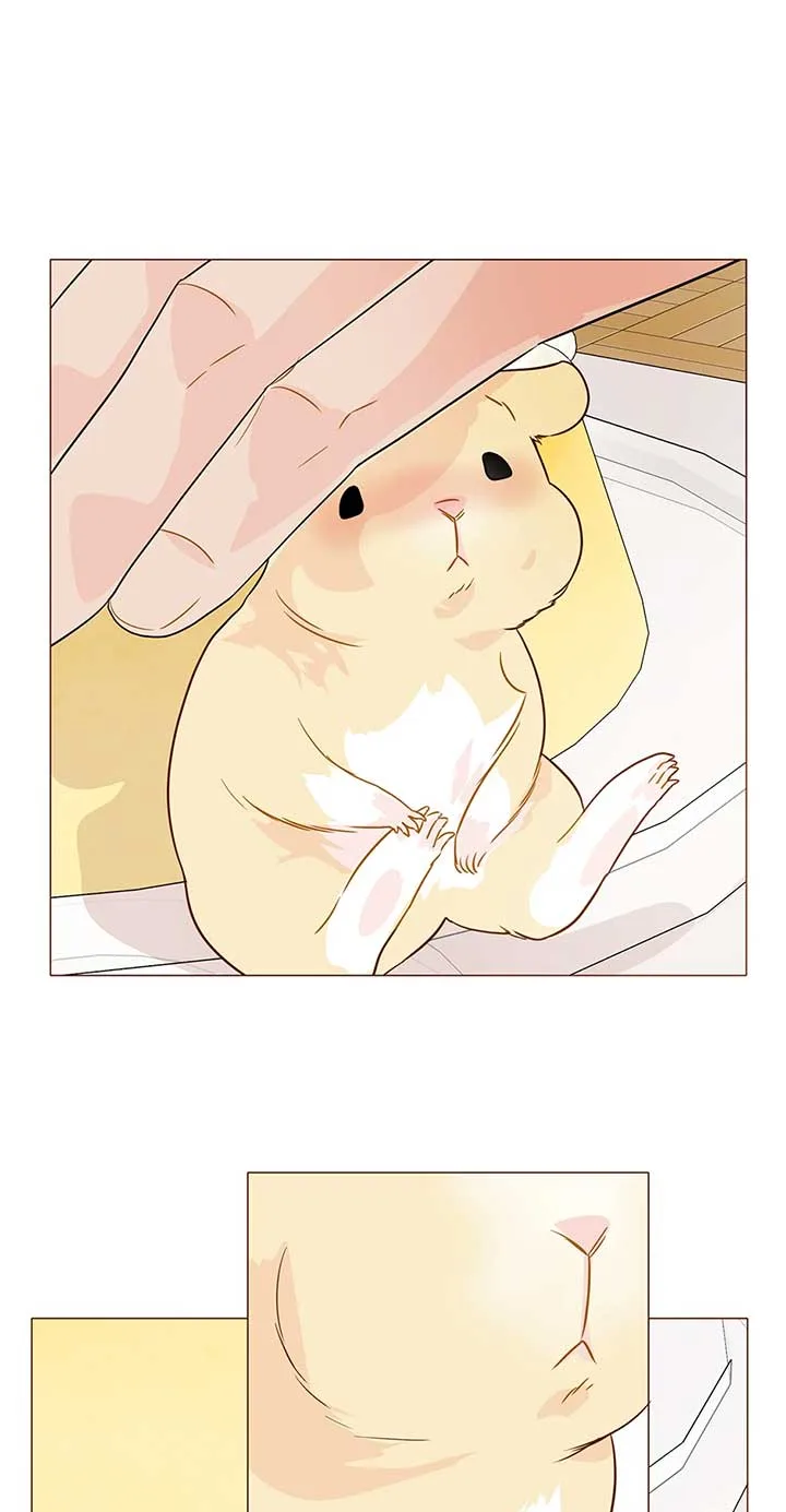 Bear with Me Chapter 38 page 30