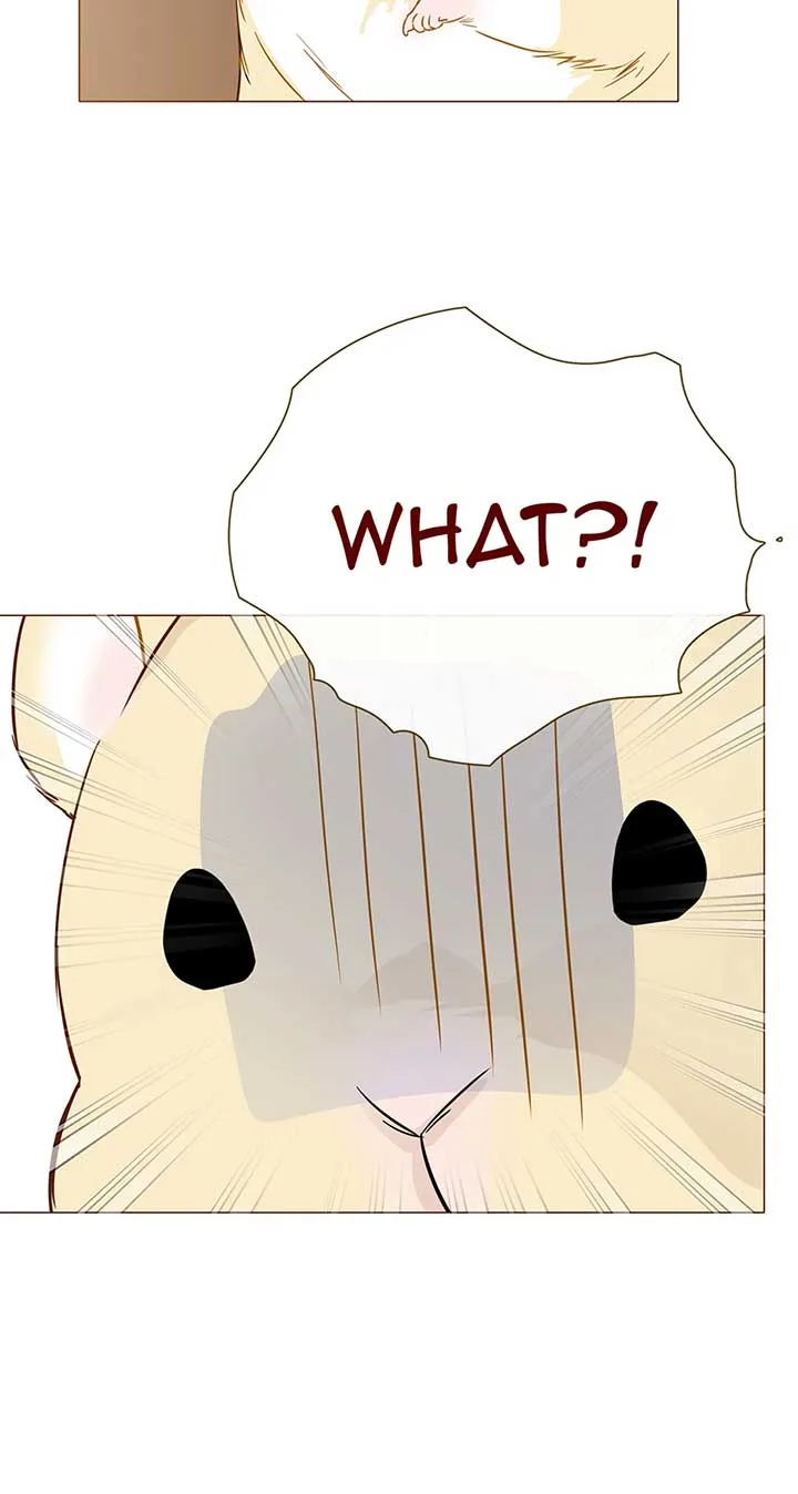 Bear with Me Chapter 38 page 65