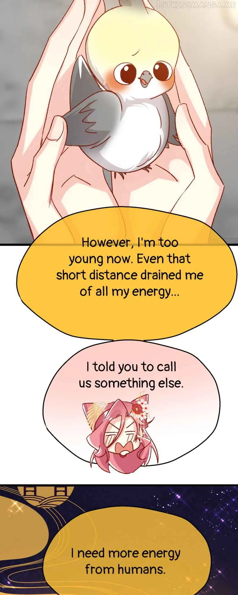 Beauty BIoggers in Another WorId Chapter 75 page 11