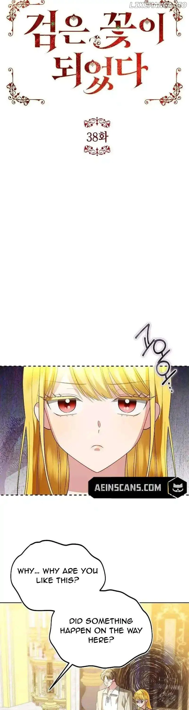 Became a Black Flower Chapter 38 page 13