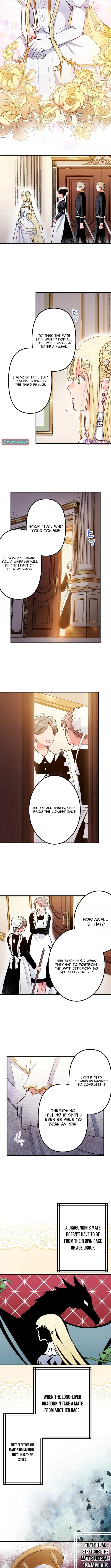 Because I’m the Unwanted Mate Chapter 1 page 3
