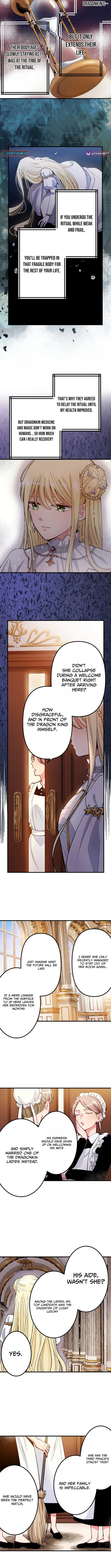 Because I’m the Unwanted Mate Chapter 1 page 4