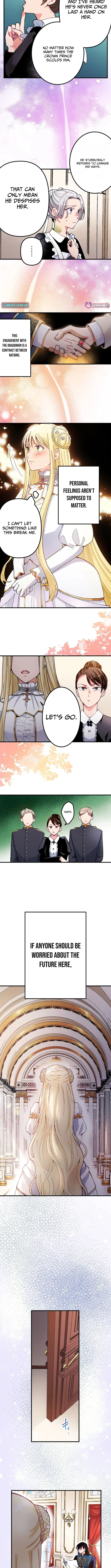 Because I’m the Unwanted Mate Chapter 1 page 6