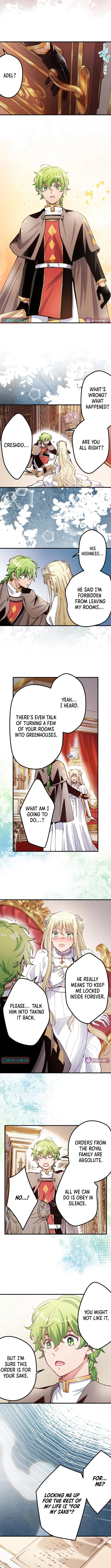 Because I’m the Unwanted Mate Chapter 11 page 3