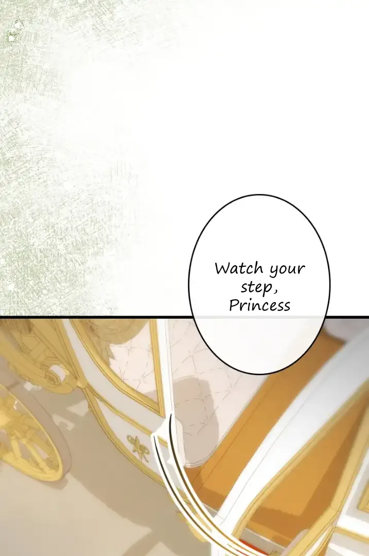 Becoming a Wicked Witch With a Paladin’s First Night Chapter 12 page 37