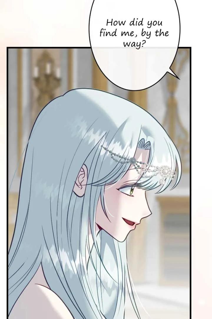 Becoming a Wicked Witch With a Paladin’s First Night Chapter 13 page 47