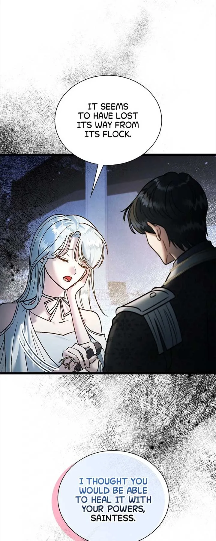 Becoming a Wicked Witch With a Paladin’s First Night Chapter 29 page 15