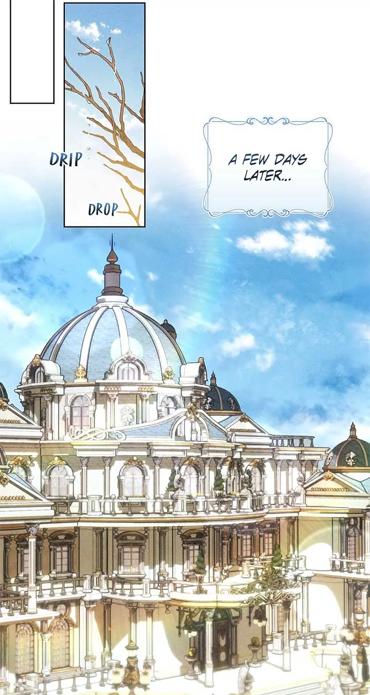 Becoming the Lady of the Cursed Ducal House Chapter 32 page 52