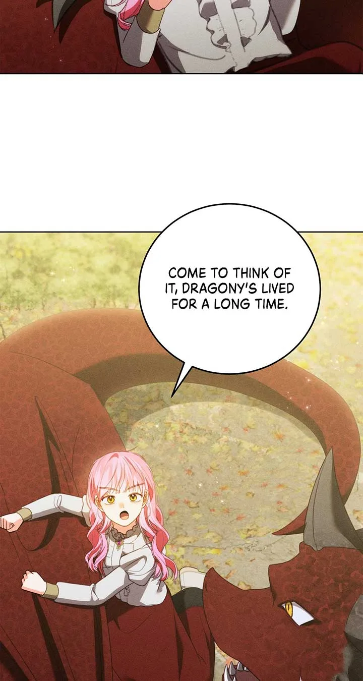 Becoming the Lady of the Cursed Ducal House Chapter 48 page 64