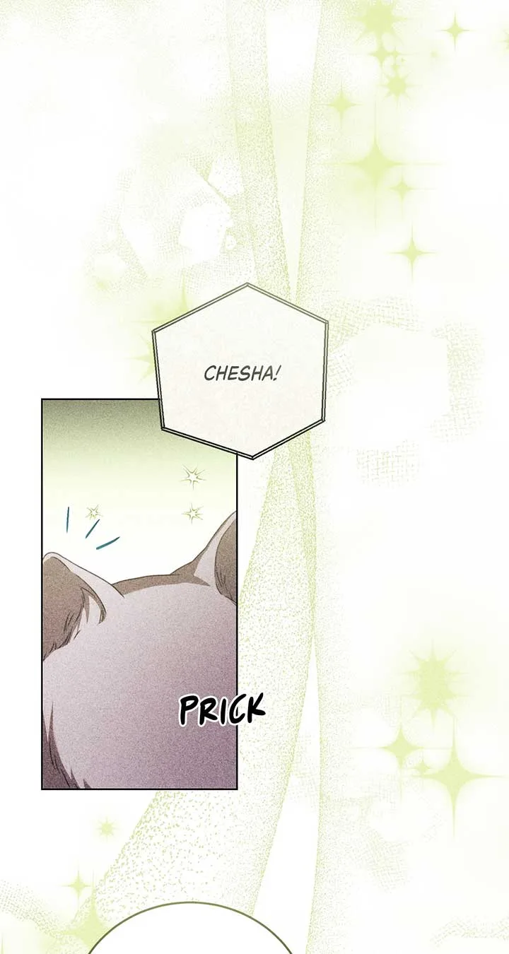 Becoming the Lady of the Cursed Ducal House Chapter 52 page 42