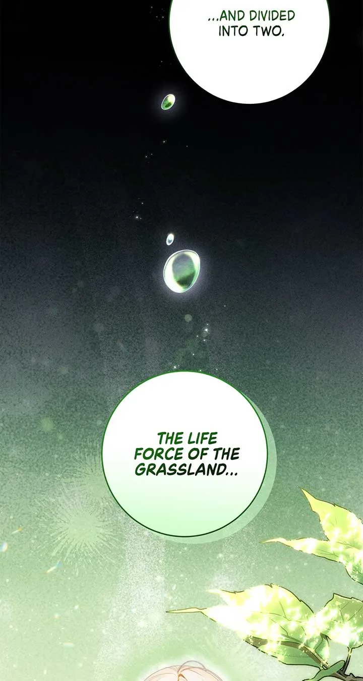 Becoming the Lady of the Cursed Ducal House Chapter 62 page 48
