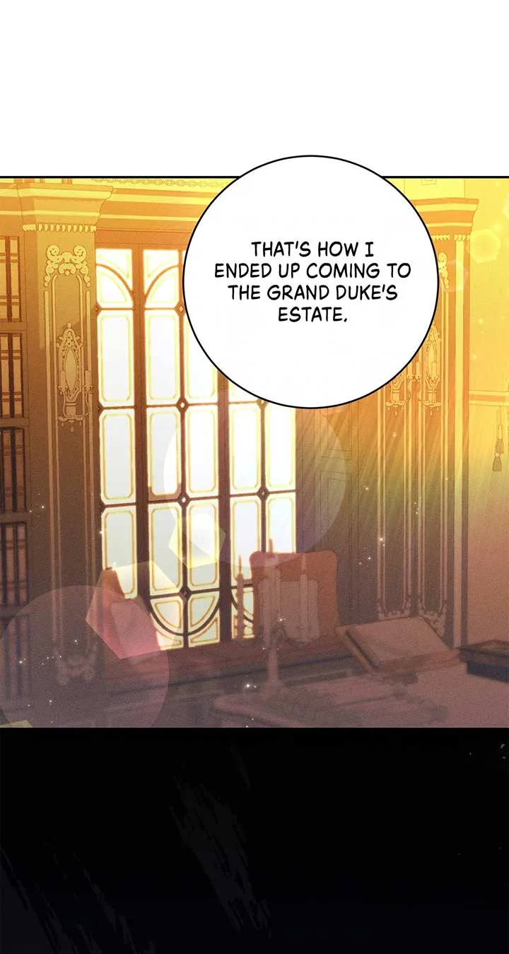 Becoming the Lady of the Cursed Ducal House Chapter 66 page 47