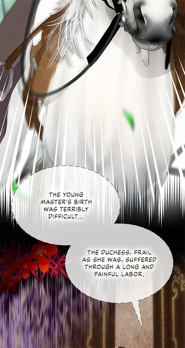 Becoming the Obsessive Male Lead’s Ex-Wife Chapter 67 page 5
