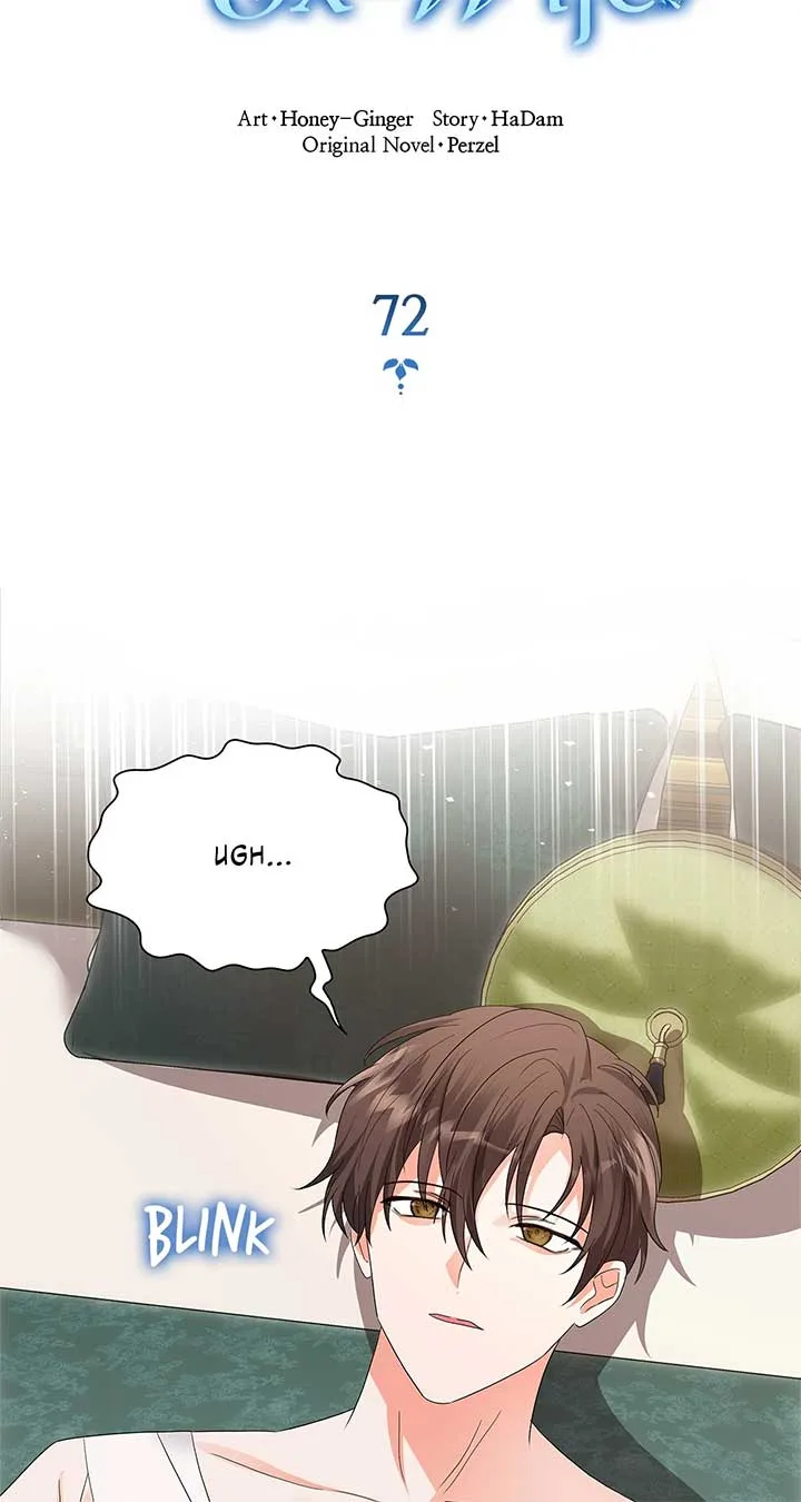 Becoming the Obsessive Male Lead’s Ex-Wife Chapter 72 page 19