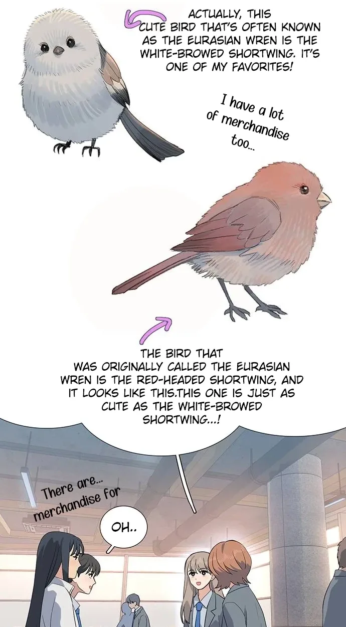 A Youth Observation Journal: Wings Before the Nest Chapter 8 page 50