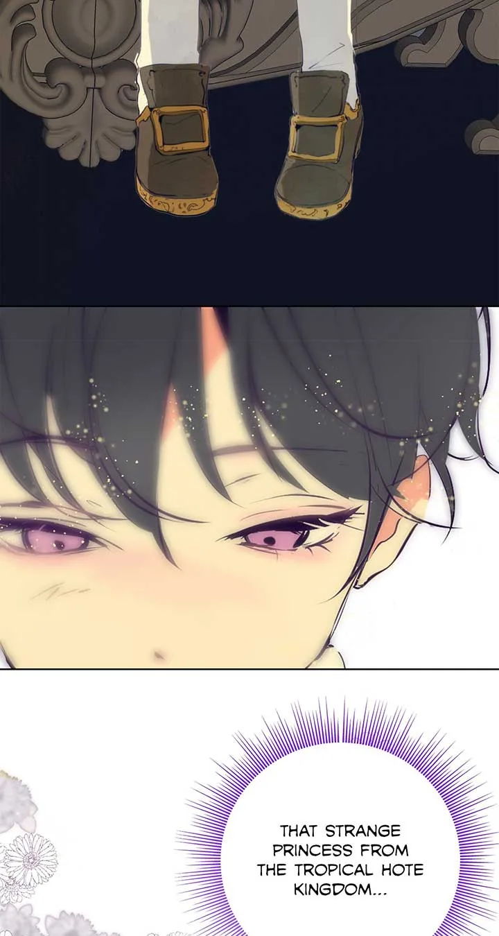 Becoming Best Friends With the Icy Male Lead Chapter 2 page 65