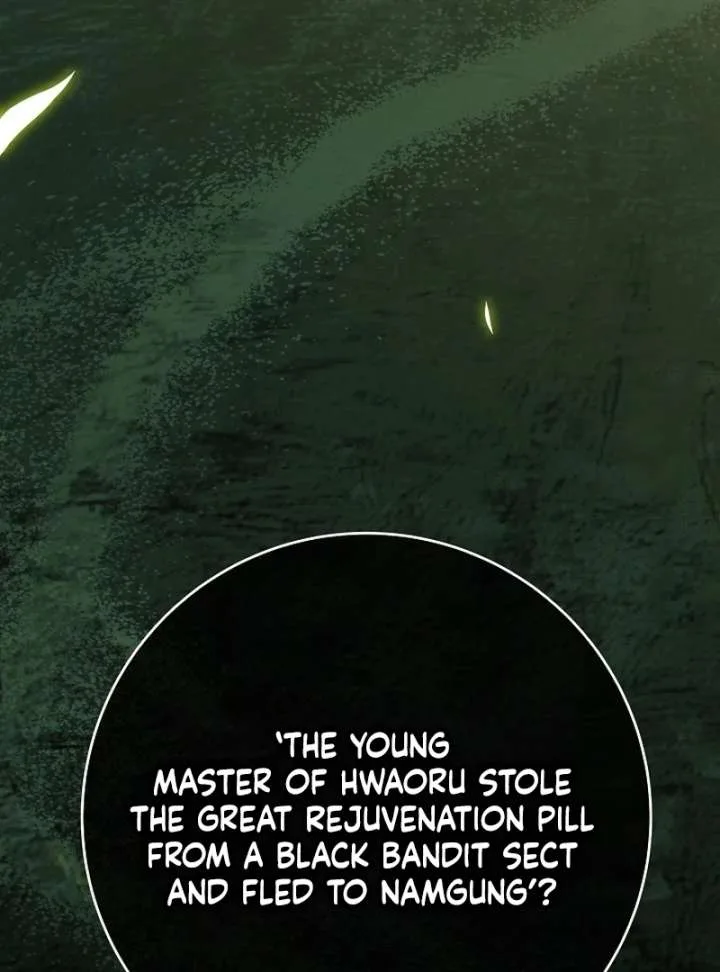 Return of the Namgung Clan’s Granddaughter Chapter 37 page 77
