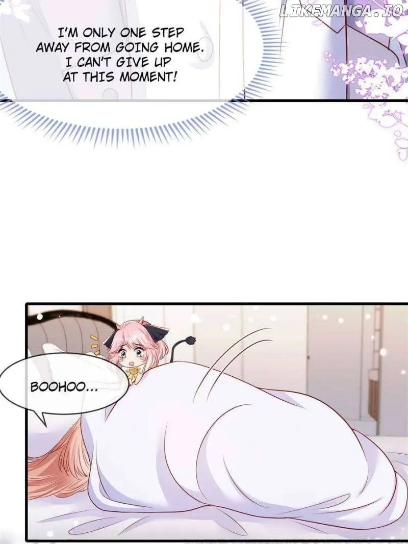 Becoming the Treasured Pet of Five Big Shots Chapter 164 page 7