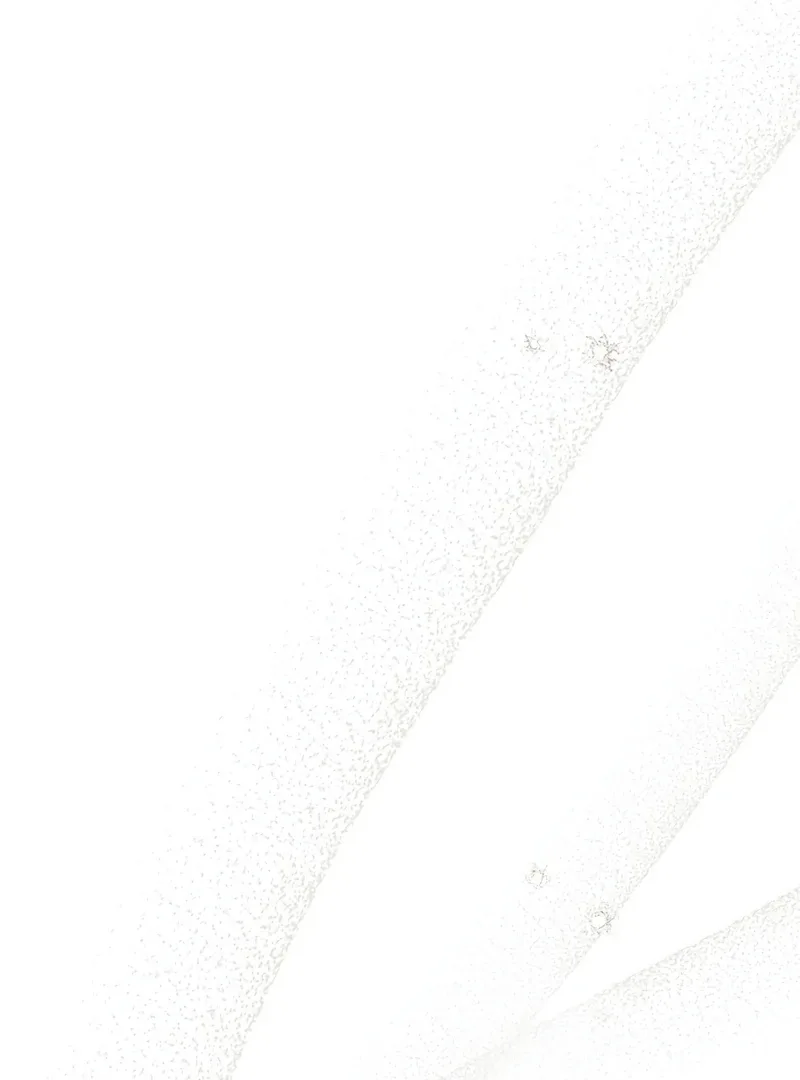 Bed Partner Chapter 27 page 39