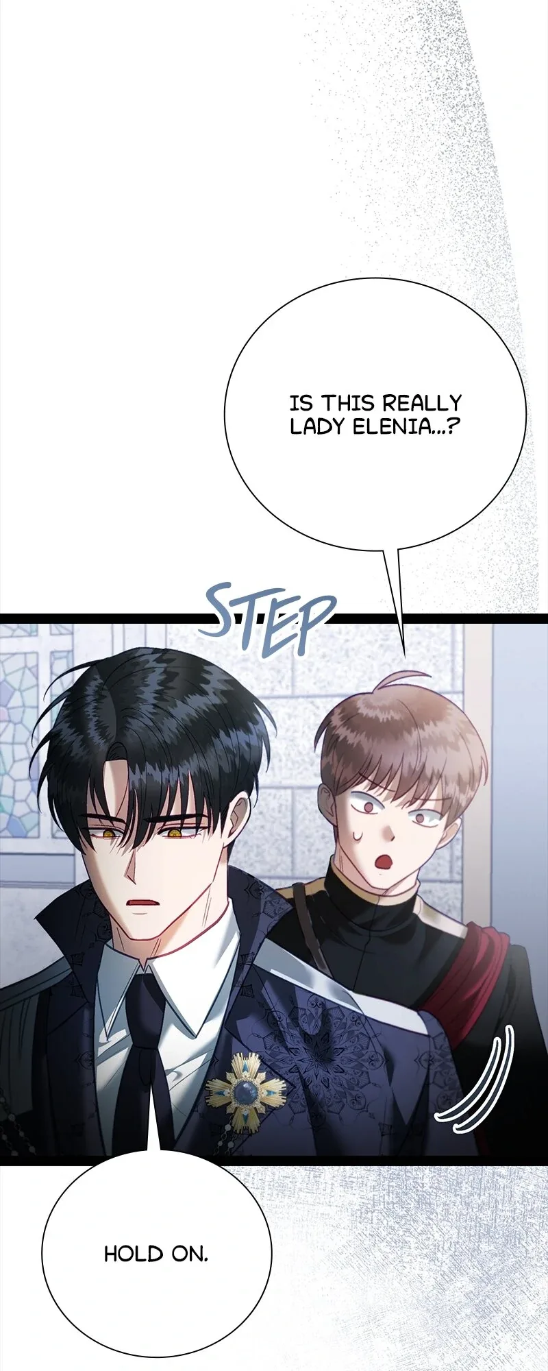 Becoming a Wicked Witch With a Paladin’s First Night Chapter 38 page 47