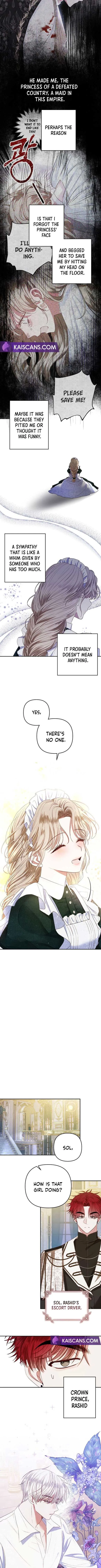 Being a Maid is Better than Being a Princess Chapter 2 page 8