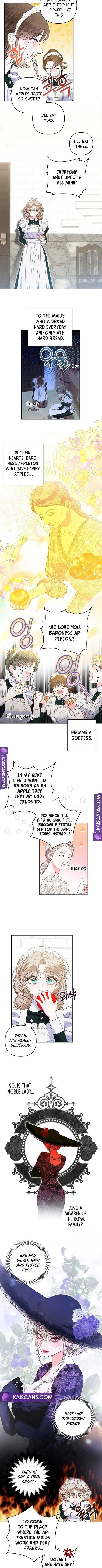 Being a Maid is Better than Being a Princess Chapter 9 page 8