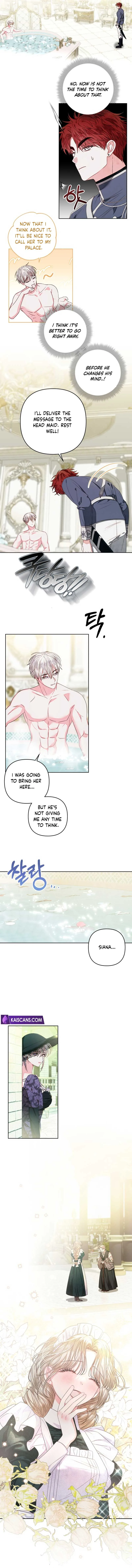 Being a Maid is Better than Being a Princess Chapter 11 page 10