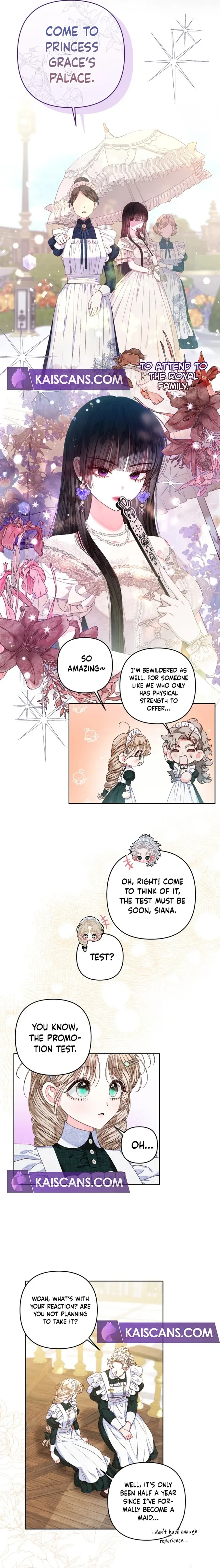 Being a Maid is Better than Being a Princess Chapter 25 page 9