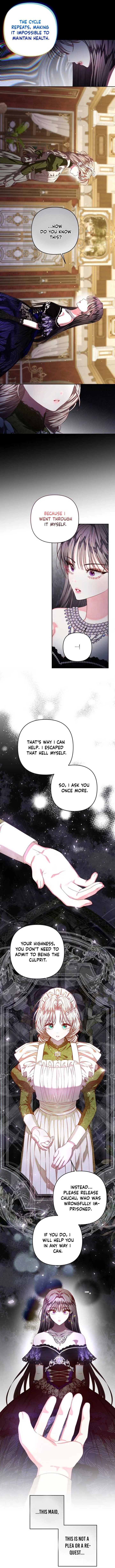 Being a Maid is Better than Being a Princess Chapter 42 page 7