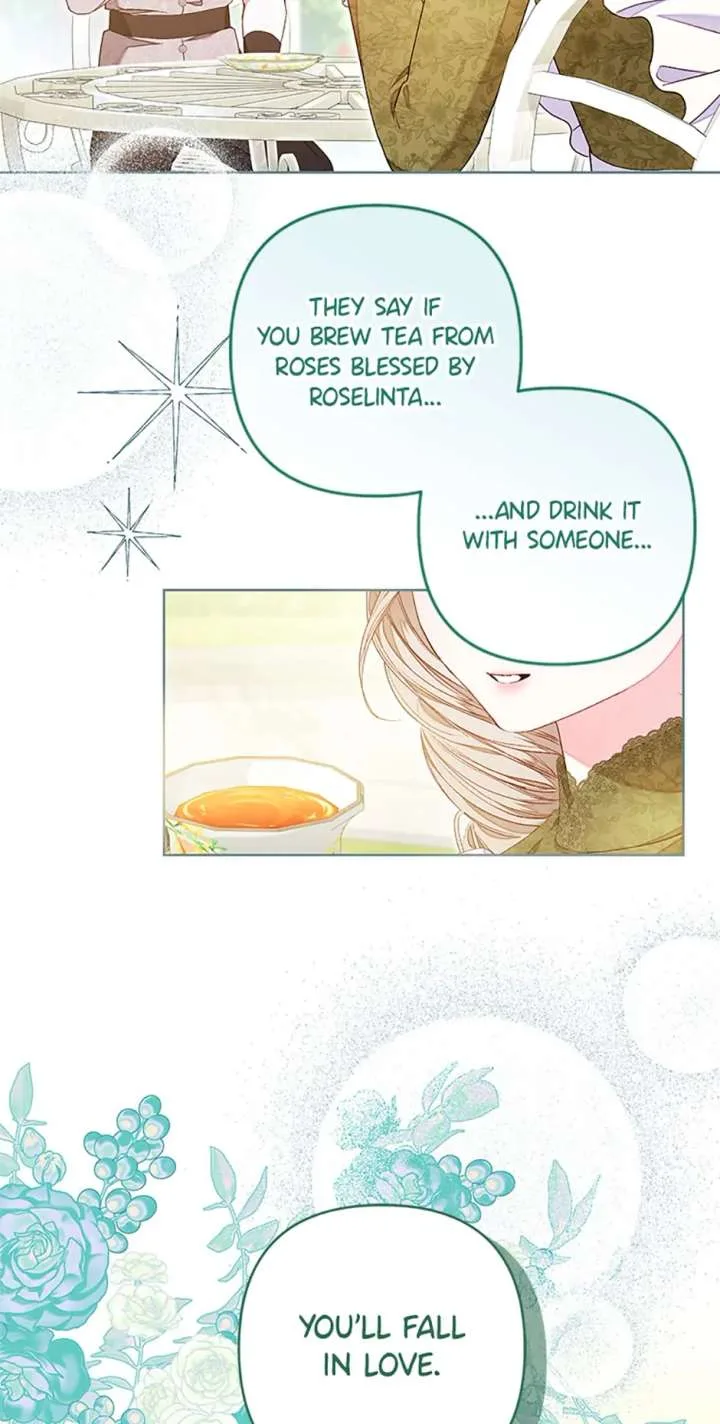 Being a Maid is Better than Being a Princess Chapter 60 page 74
