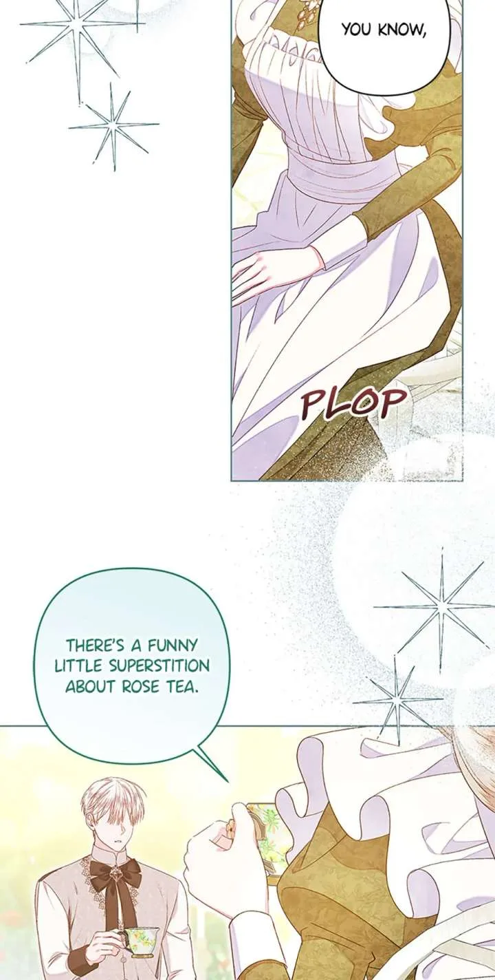 Being a Maid is Better than Being a Princess Chapter 60 page 73