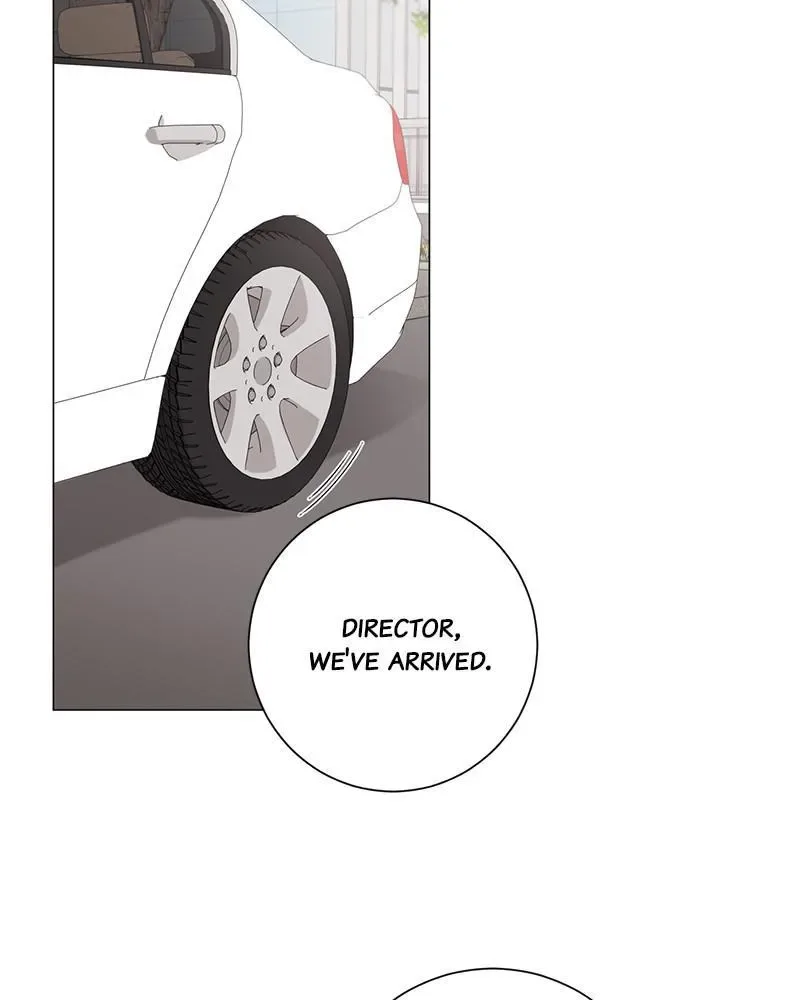 Best Of Luck, Warrior! Chapter 17 page 21