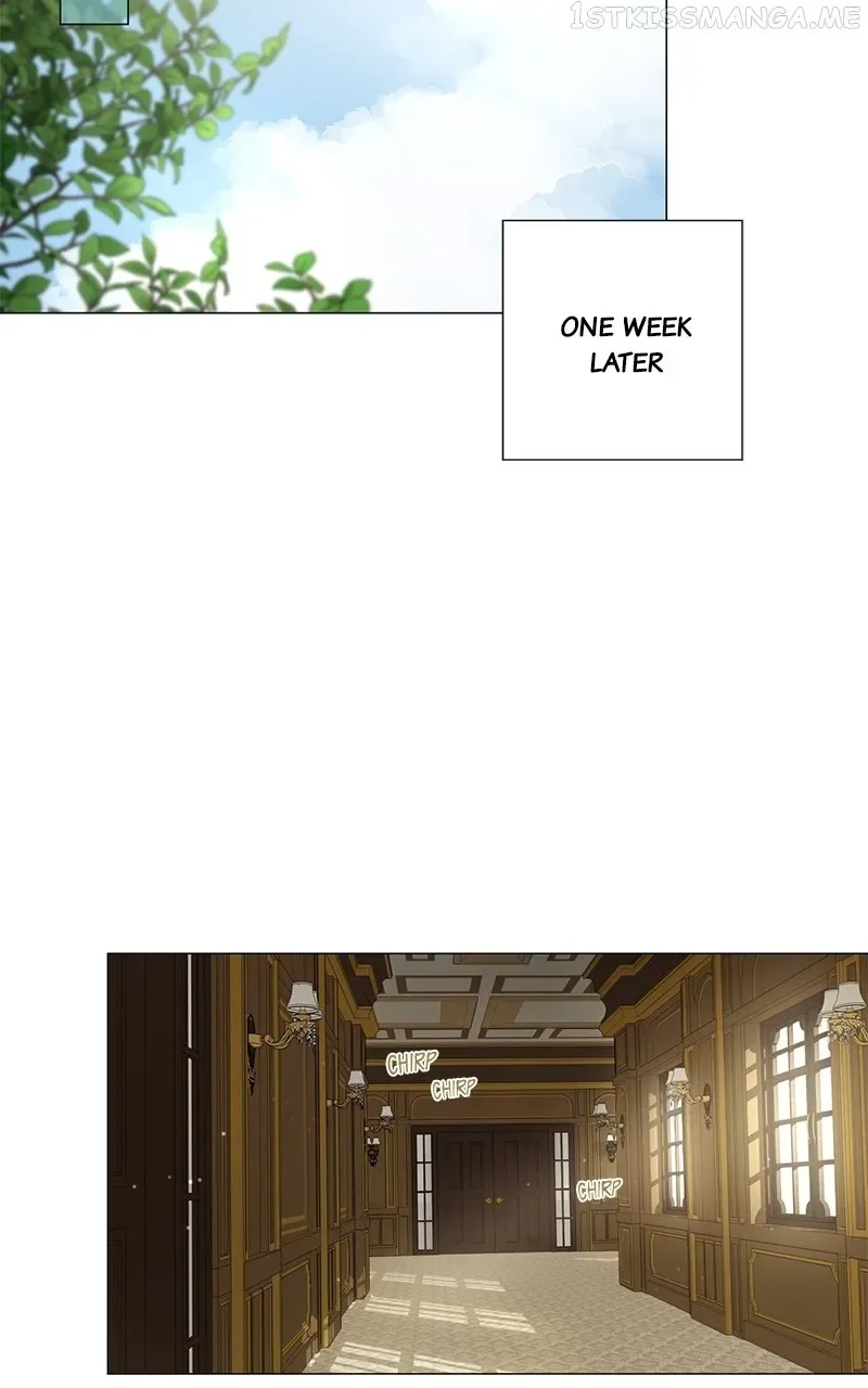 Best Of Luck, Warrior! Chapter 57 page 29