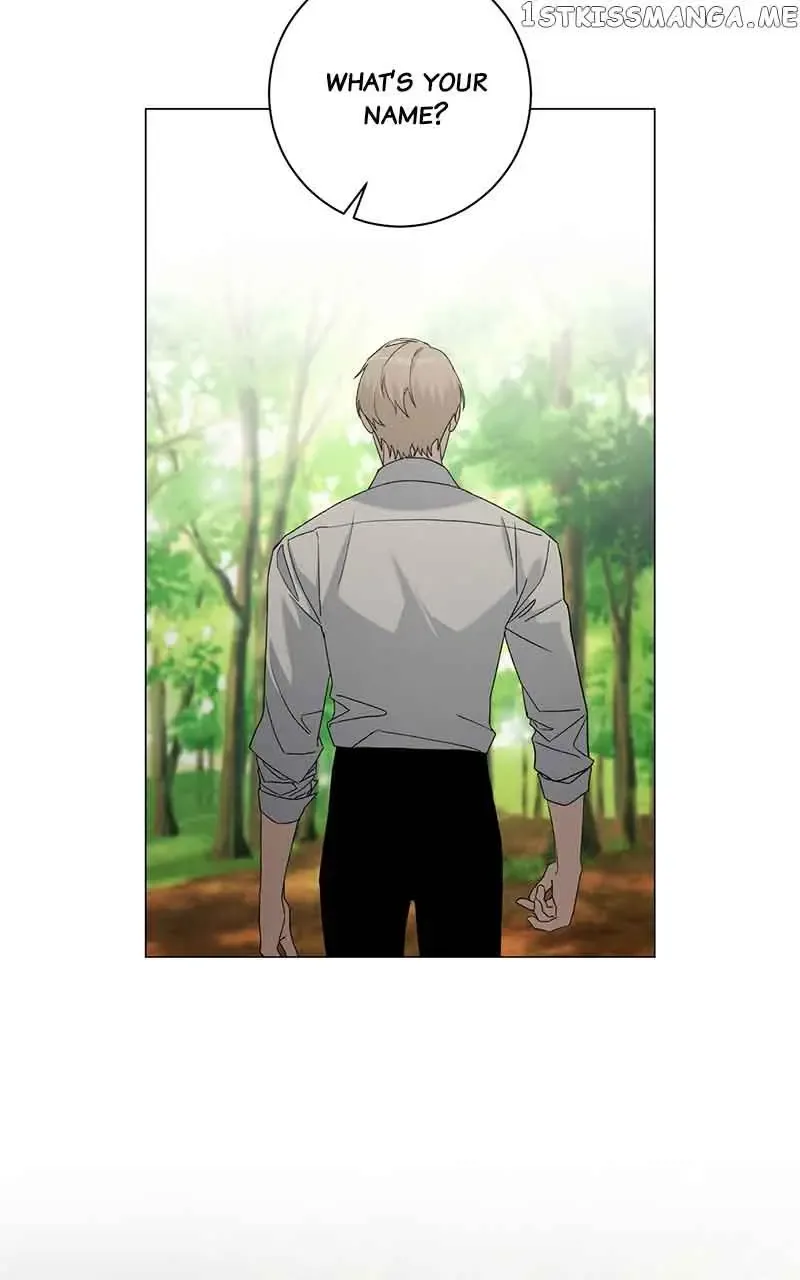 Best Of Luck, Warrior! Chapter 62 page 32
