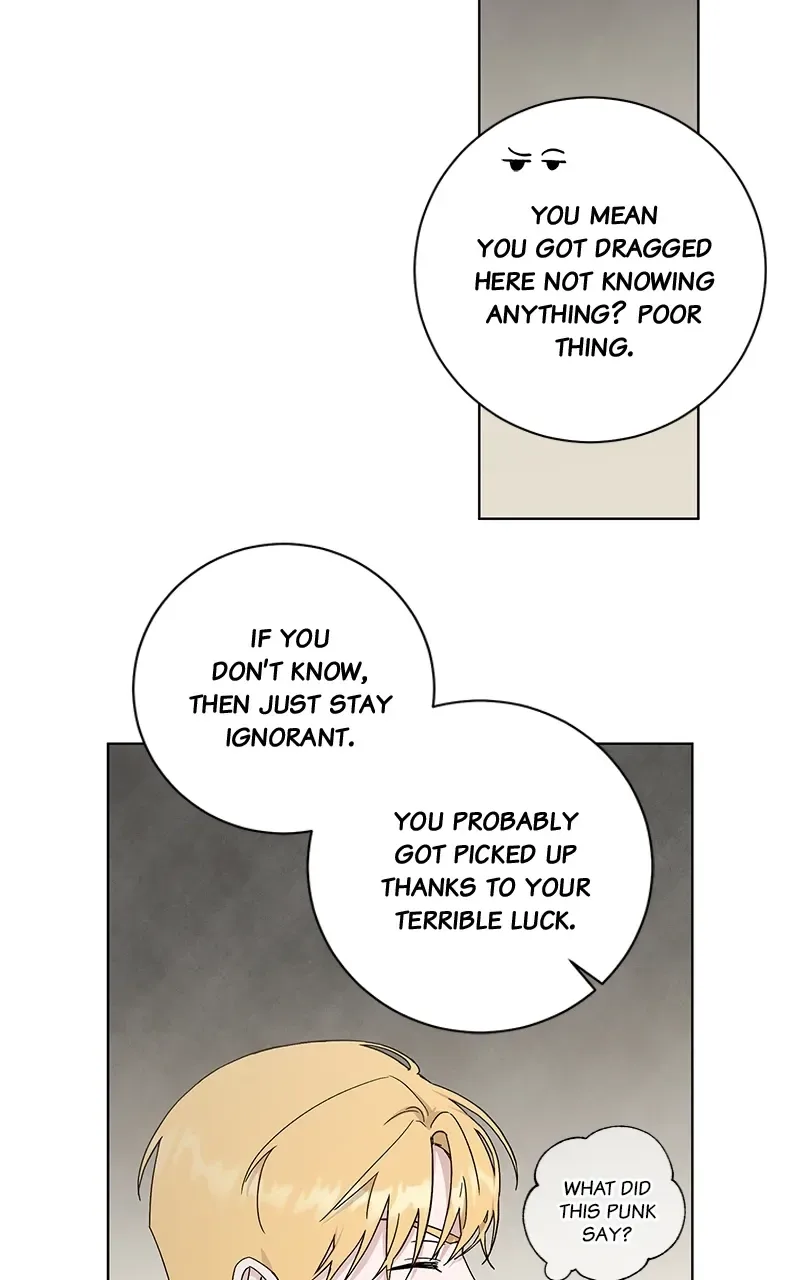 Best Of Luck, Warrior! Chapter 73 page 54