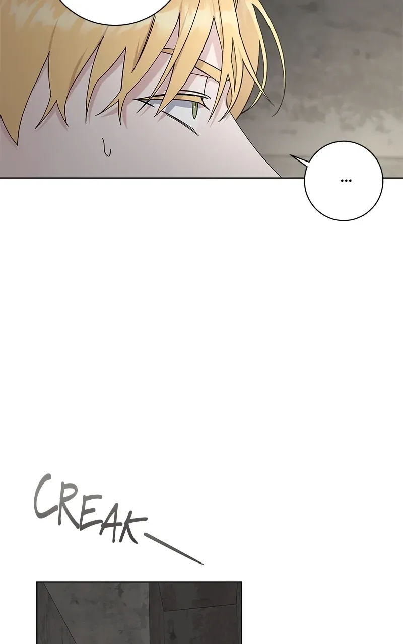 Best Of Luck, Warrior! Chapter 73 page 48