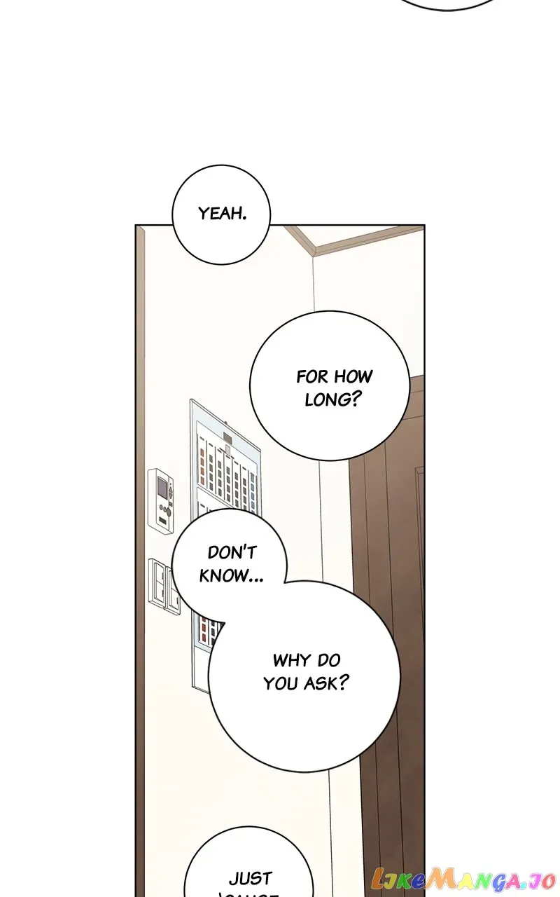 Best Of Luck, Warrior! Chapter 81 page 5
