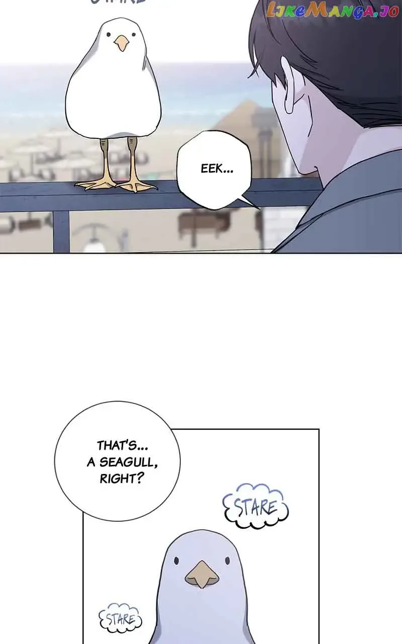 Best Of Luck, Warrior! Chapter 83 page 45