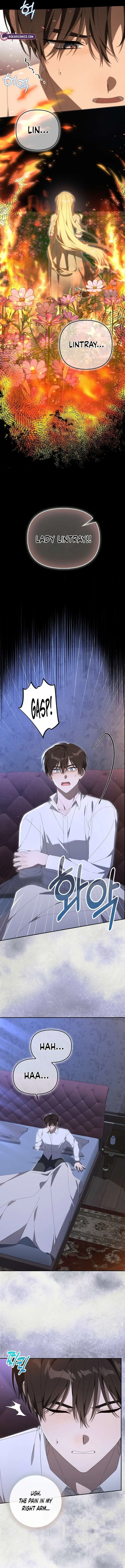 Between Your Letter and My Reply Chapter 16 page 5
