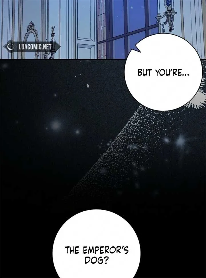 Beware of the Strongest Man Who is Crazy About Me Chapter 51 page 89