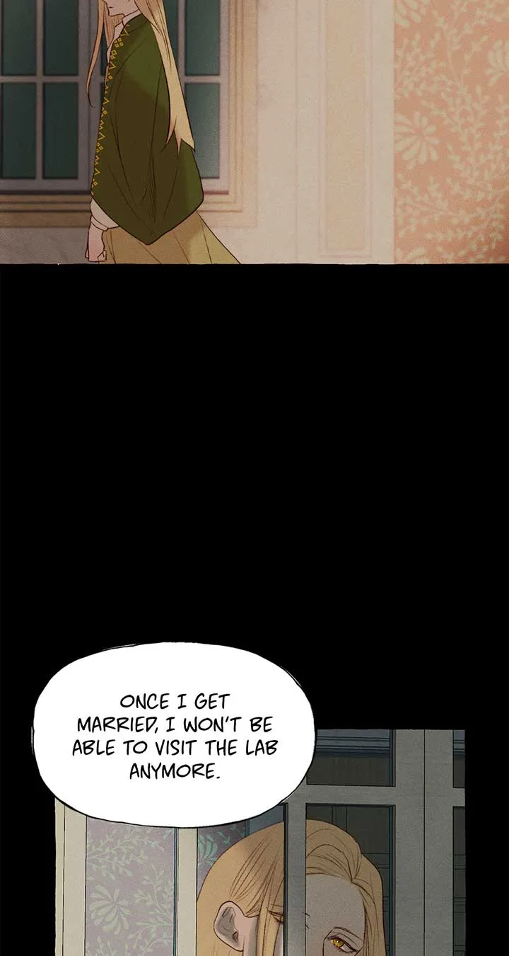 Beyond Walpurgis Chapter 26 page 46