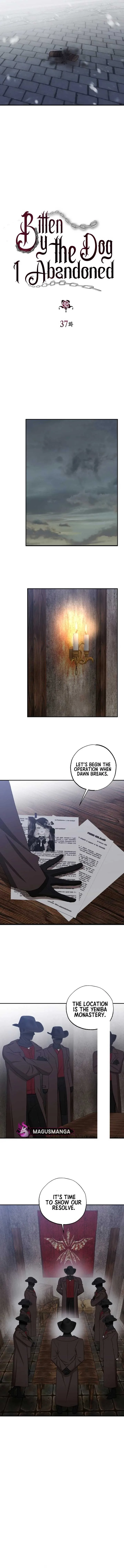 Bitten By The Dog I Abandoned Chapter 37 page 3