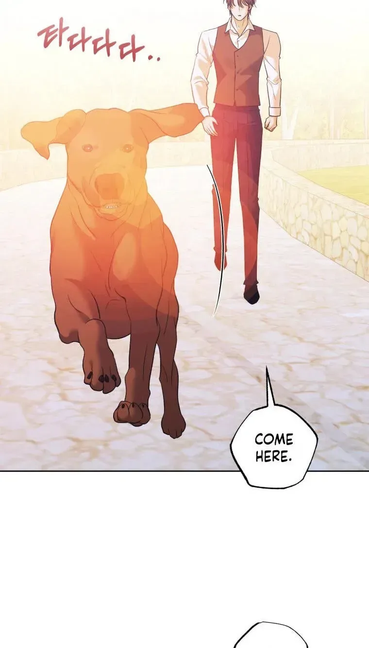 Bitten By The Dog I Abandoned Chapter 119 page 50
